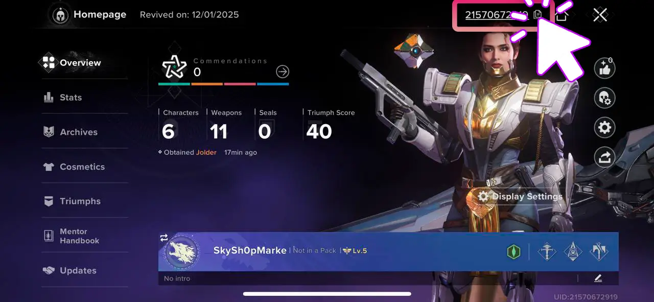 Destiny: Rising