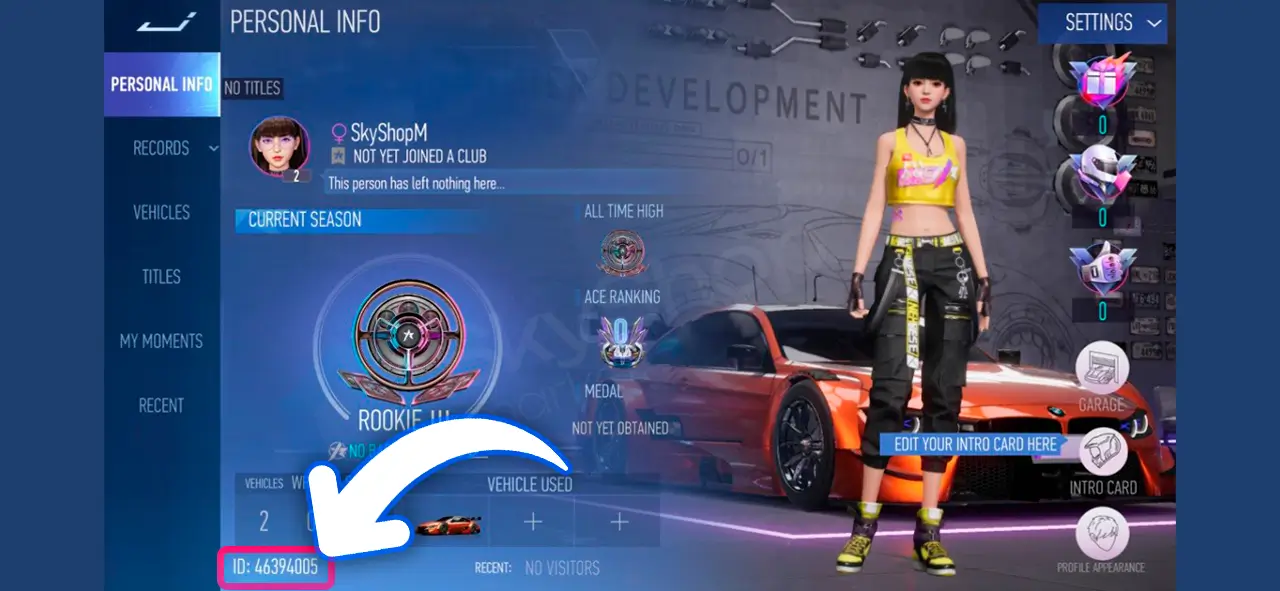 Ace Racer