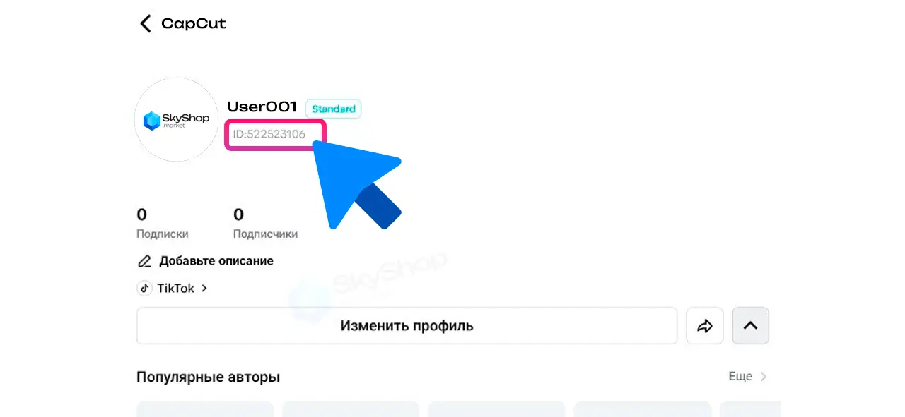CapCut
