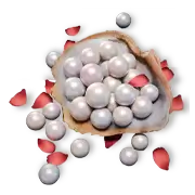 12000 Echo Beads