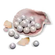 1800 Echo Beads