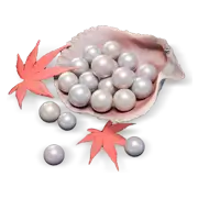 3000 Echo Beads